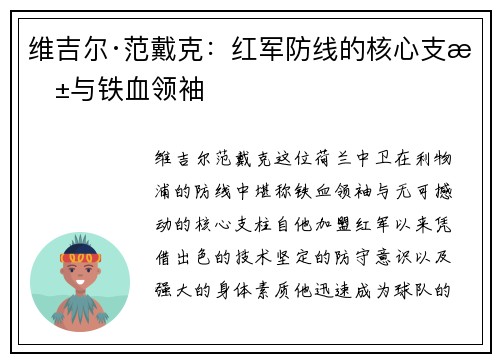 维吉尔·范戴克：红军防线的核心支柱与铁血领袖